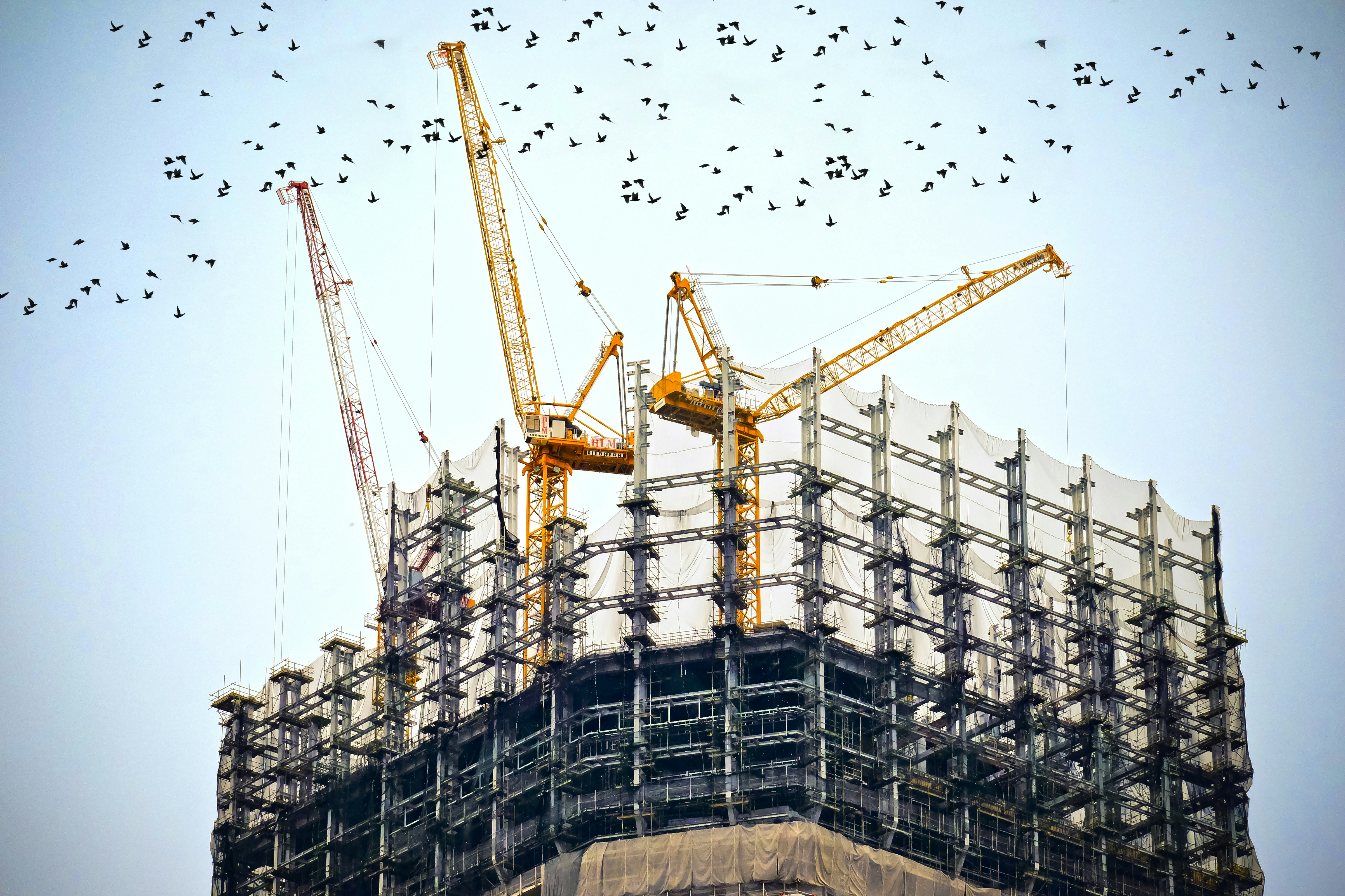 BTP et construction